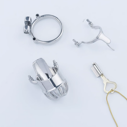 Stainless Steel Custom Chastity Cage With PA T15