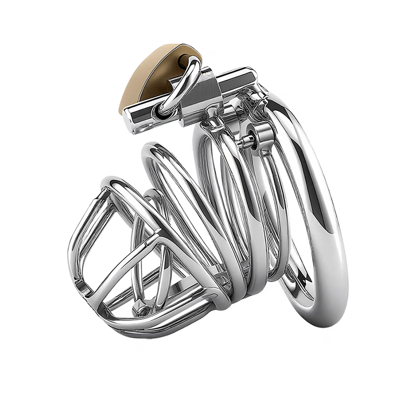 Stainless Steel Painless PA Chastity Cage