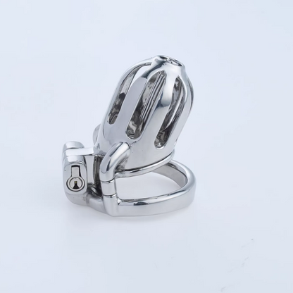 Steel Custom Chastity Cage With PA T10 - 1