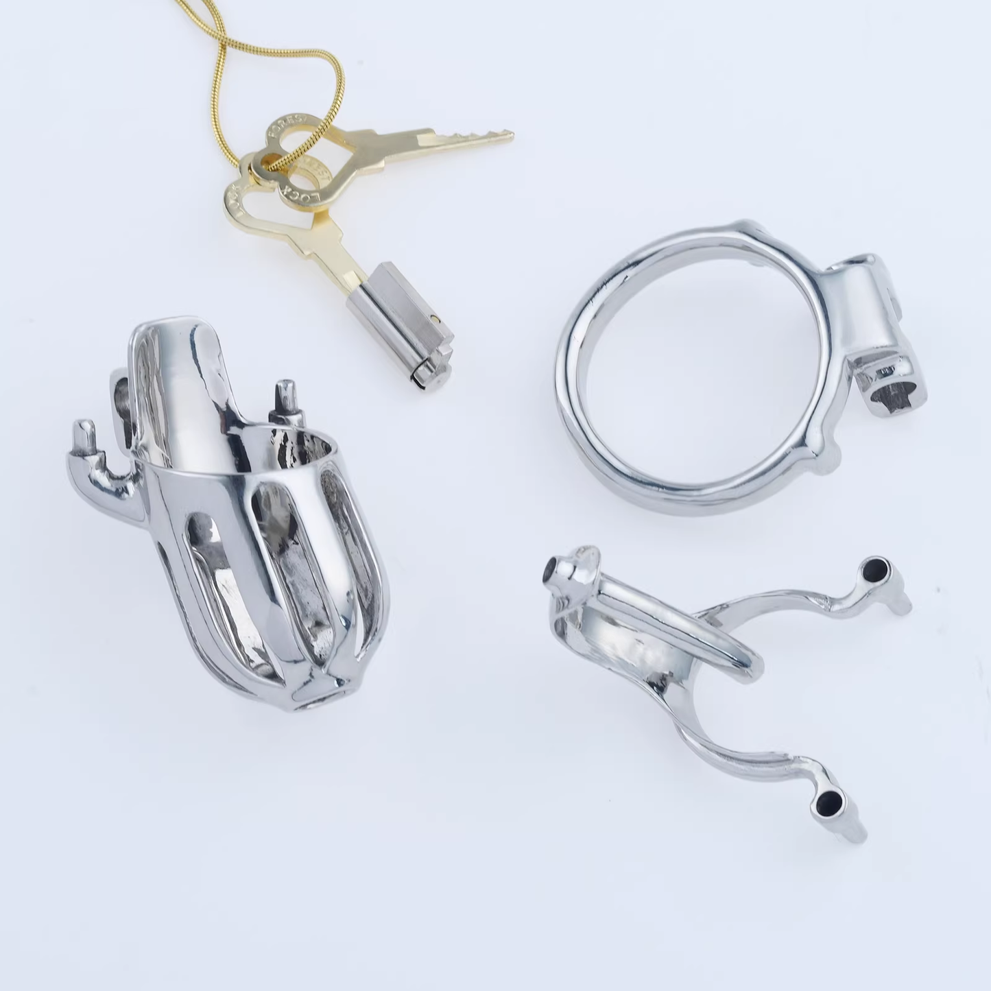 Steel Custom Chastity Cage With PA T10 - 4