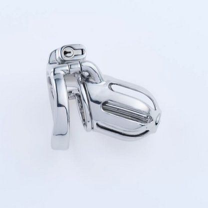 Steel Custom Chastity Cage With PA T10 - 3