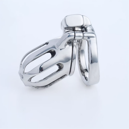 Steel Custom Chastity Cage With PA T10 - 6