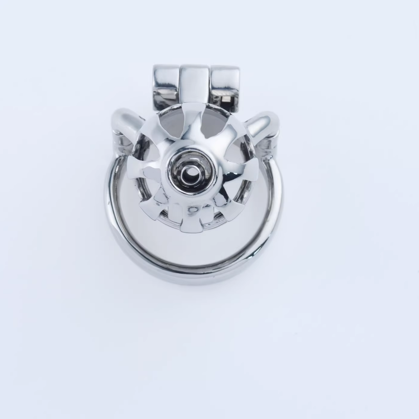 Steel Custom Chastity Cage With PA T10 - 7