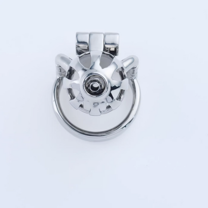 Steel Custom Chastity Cage With PA T10 - 7