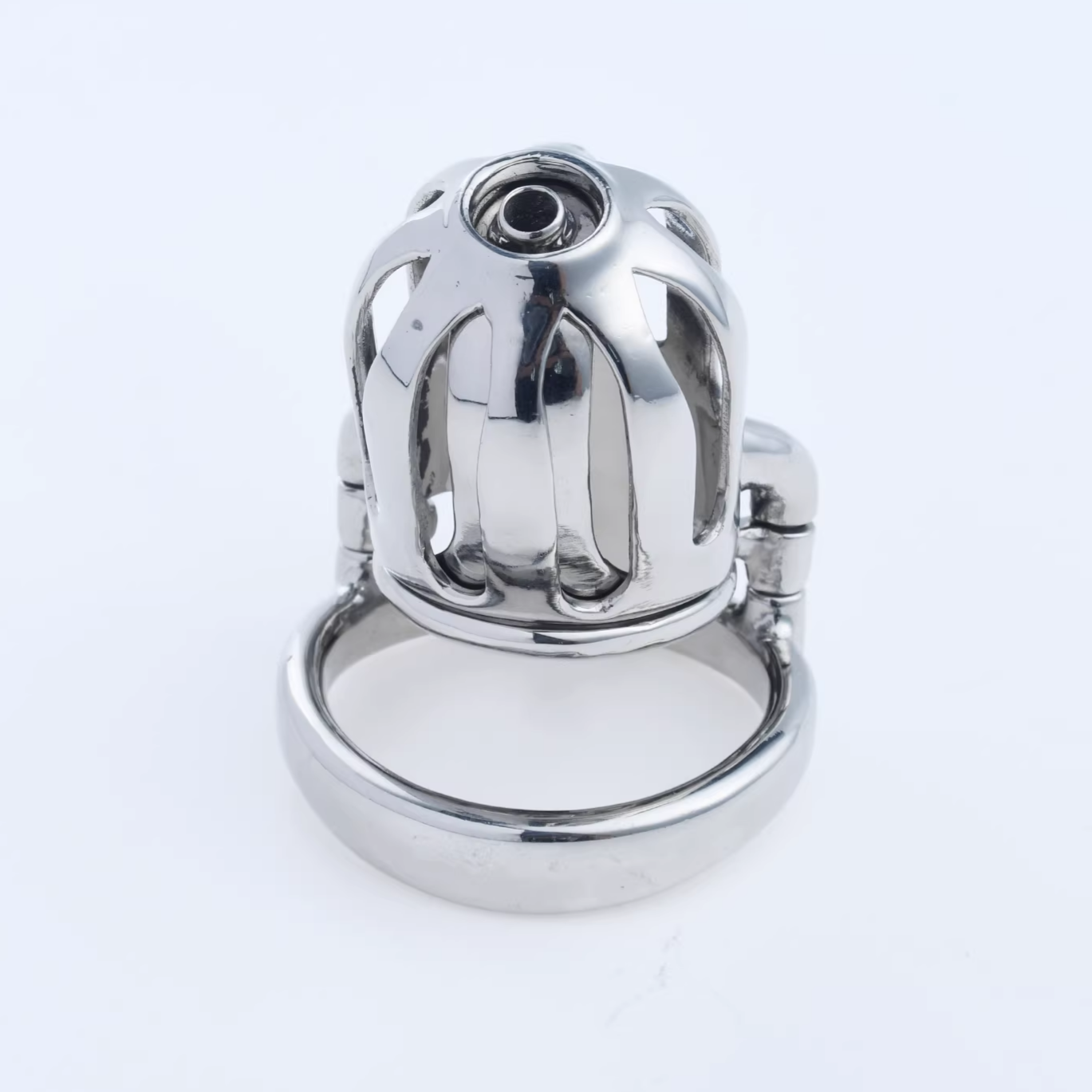 Steel Custom Chastity Cage With PA T10 - 8