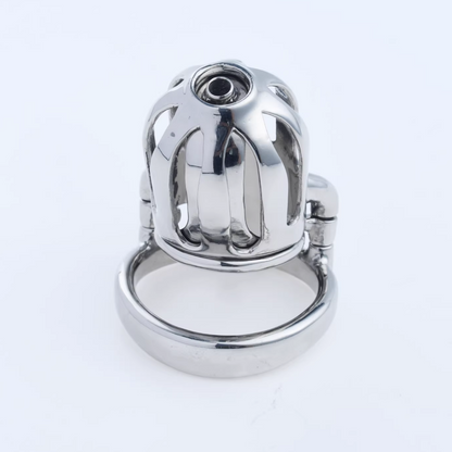 Steel Custom Chastity Cage With PA T10 - 8