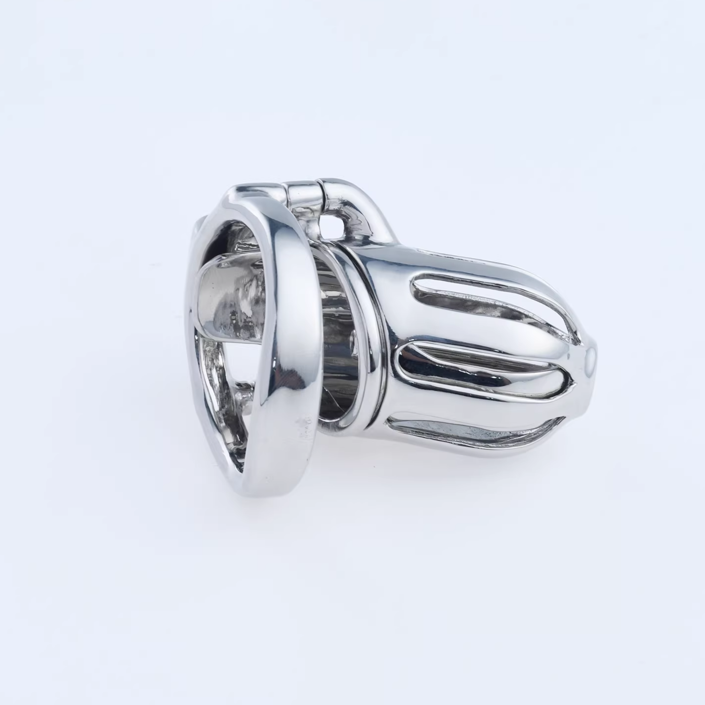 Steel Custom Chastity Cage With PA T10 - 9
