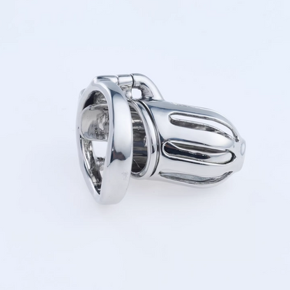 Steel Custom Chastity Cage With PA T10 - 9