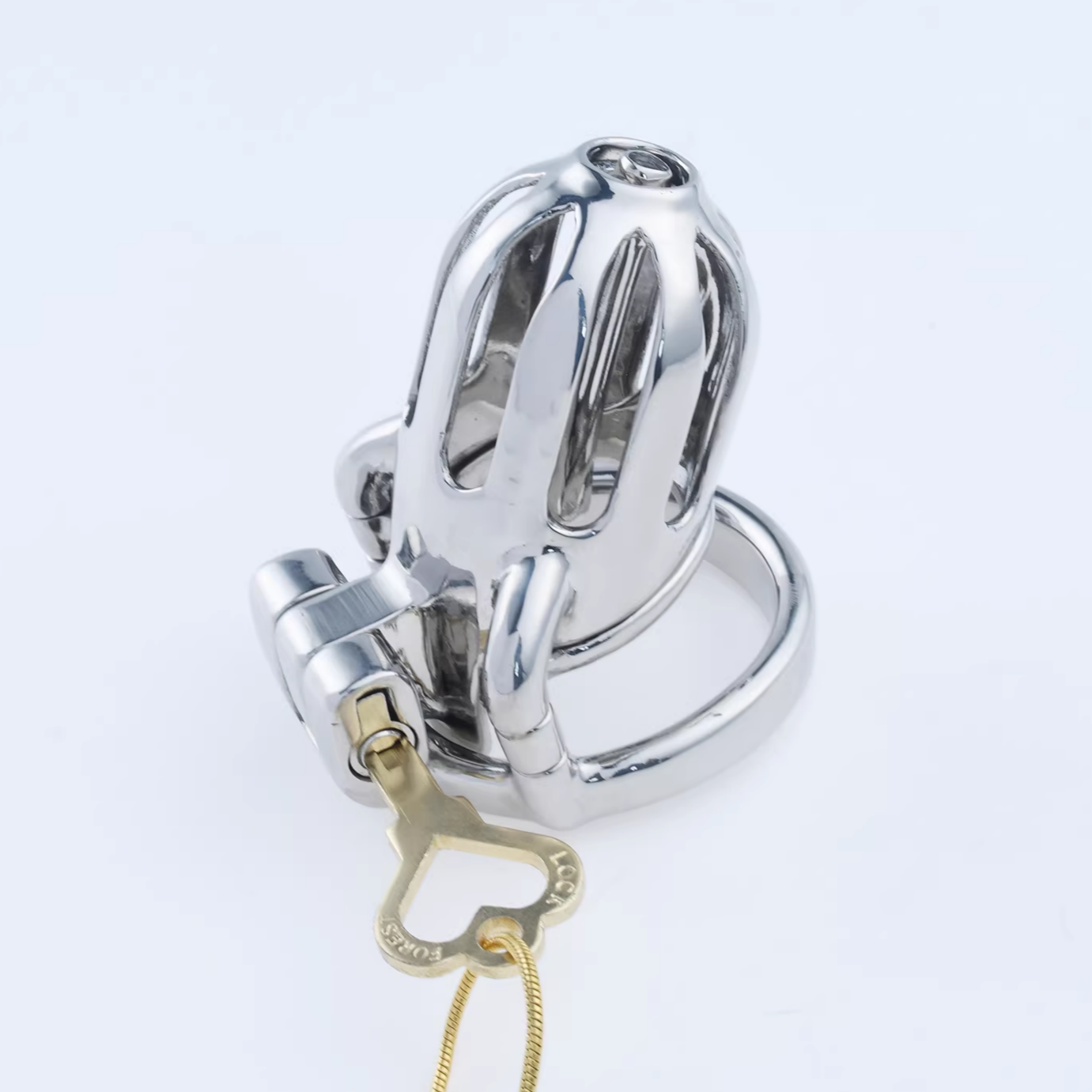 Steel Custom Chastity Cage With PA T10 - 5