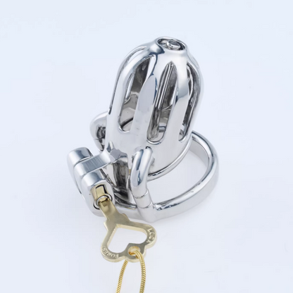 Steel Custom Chastity Cage With PA T10 - 5