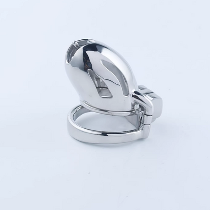 Steel Custom Chastity Cage With PA T12