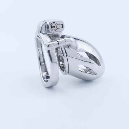 Steel Custom Chastity Cage With PA T12