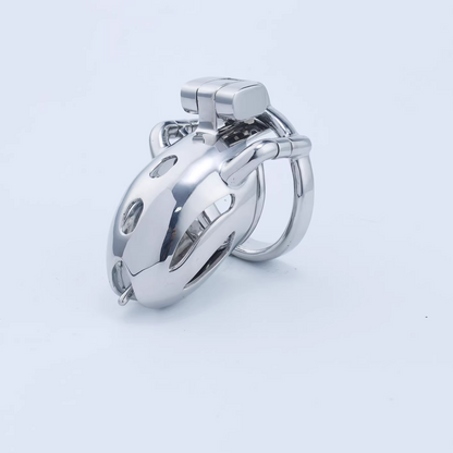 Steel Custom Chastity Cage With PA T12