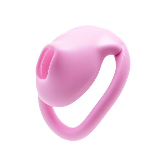 Super Little Bird Chastity Cage 4