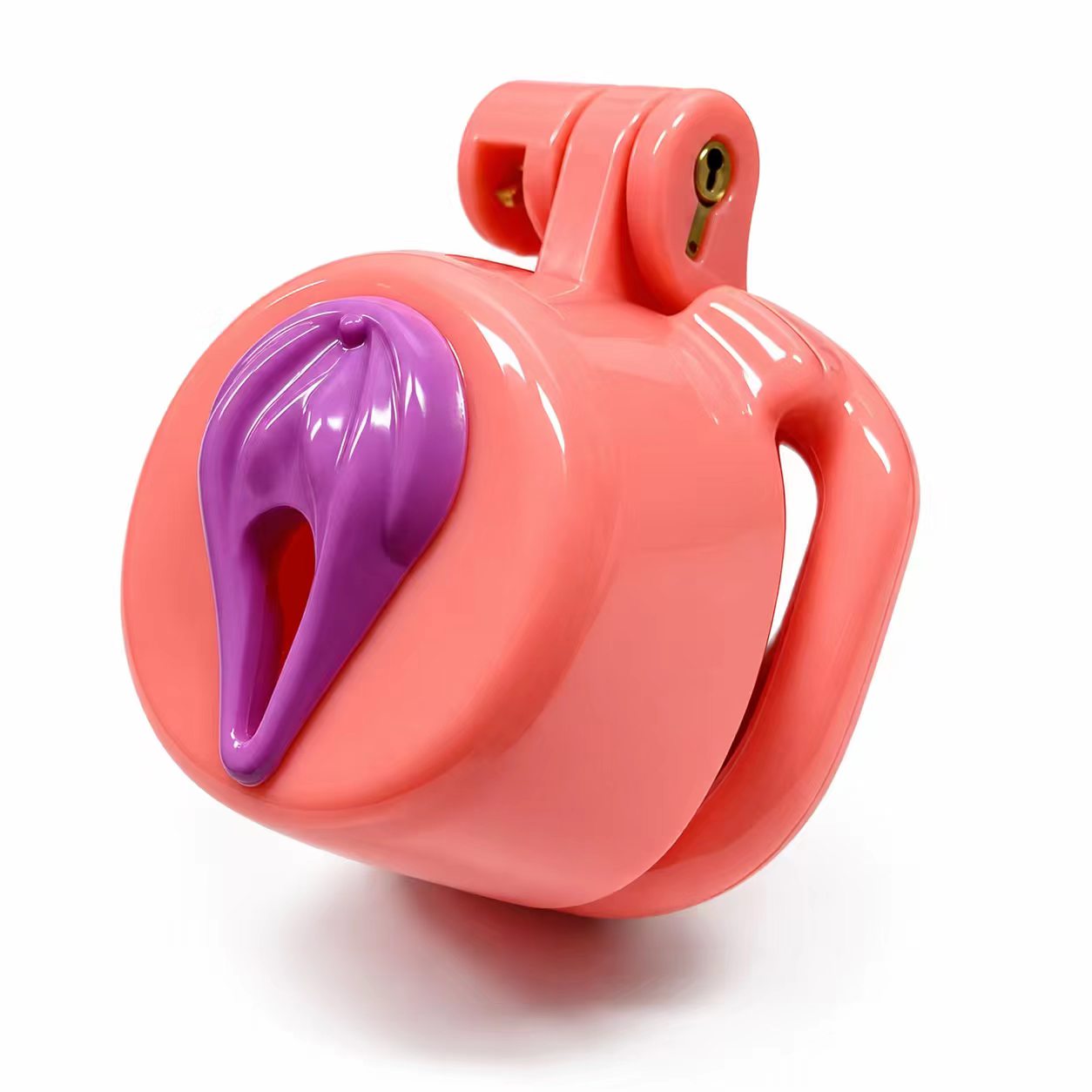 Sweet Pussy Chastity Cage