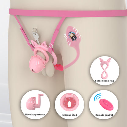Sweetheart's Promise Chastity Cage