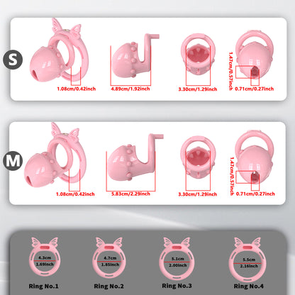 Sweetheart's Promise Chastity Cage
