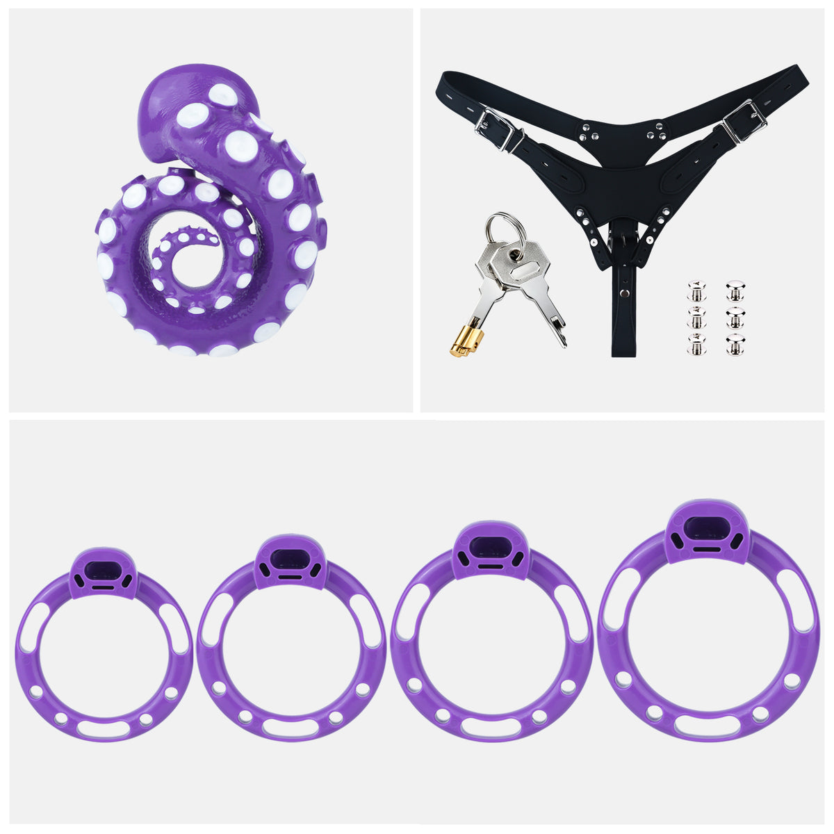 Purple belt set with four rings, black belt, lock, keys and six fasteners
