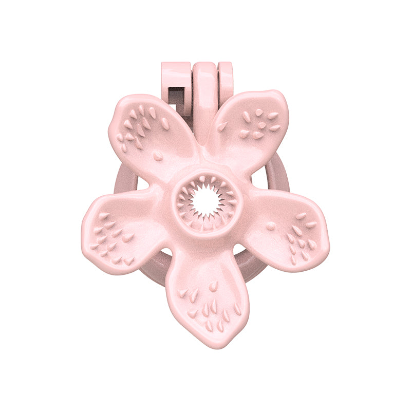 The Solid Bloom Keeper