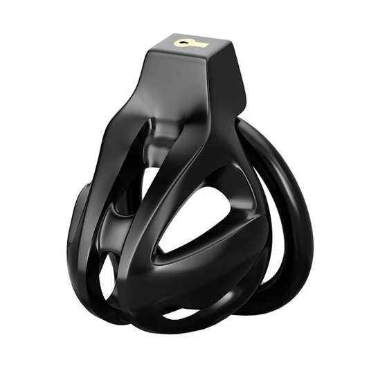 Two Cages Male Chastity Devices-1