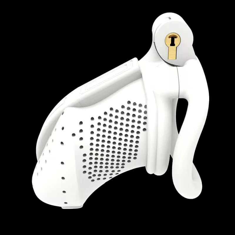 3D Wasps Honeycomb  Chastity Cage