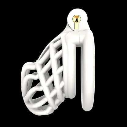 3D Spine Bone Stegosaurus Chastity Device Kit