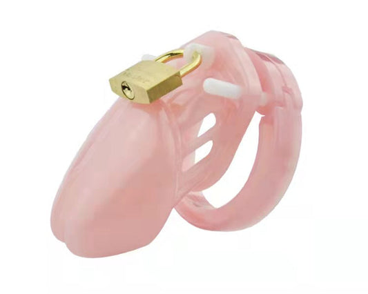 Cage de chasteté en plastique de petite taille avec fermeture 2,75 pouces Cb6000s