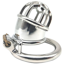 Load image into Gallery viewer, Plum Club Bullet Micro Chastity Cage (1.65&quot;)
