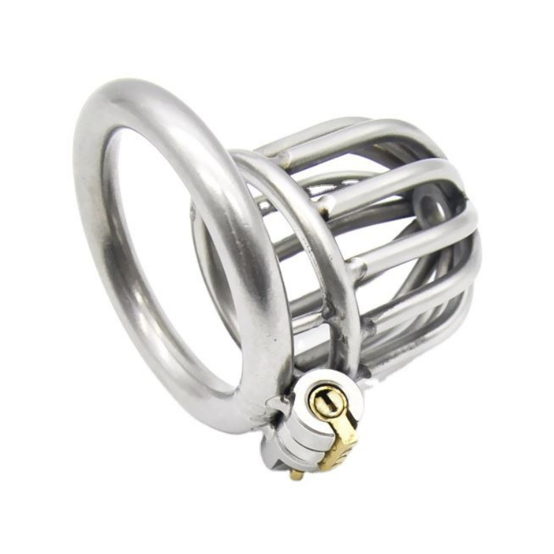 Little Birdie Cage - Steel Awl Chastity Cage (1.69 in)