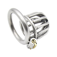 Load image into Gallery viewer, Little Birdie Cage - Steel Awl Chastity Cage (1.69 in)
