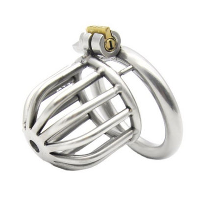 Little Birdie Cage - Steel Awl Chastity Cage (1.69 in)