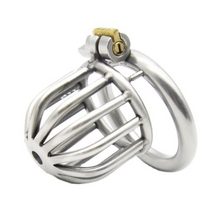 Load image into Gallery viewer, Little Birdie Cage - Steel Awl Chastity Cage (1.69 in)
