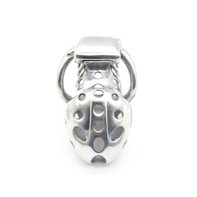 The Intensive Cell Steel Chastity Cage