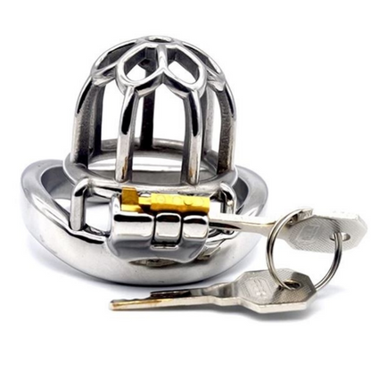 The Bullet Dungeon Micro Steel Chastity Cage