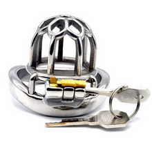 Load image into Gallery viewer, The Bullet Dungeon Micro Steel Chastity Cage
