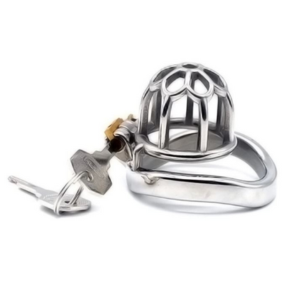 The Bullet Dungeon Micro Steel Chastity Cage