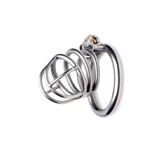 Load image into Gallery viewer, The Pen Deluxe Stainless Steel Locking Chastity Cage
