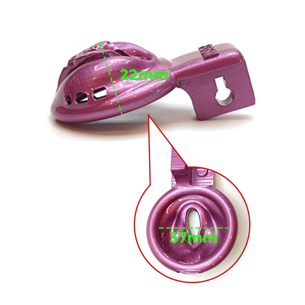 BDSM Vaginal Chastity Cage