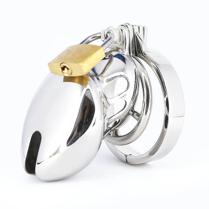 Stainless Steel Chastity Cage With Spike Ring