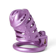 Load image into Gallery viewer, Purple Sissy Spiked 3D Printing Pussy Vaginal
